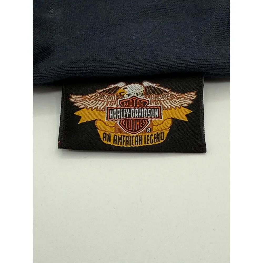Vintage Y2K Harley-Davidson HDS 355 Wrap Sunglasses Blue Flames Pouch